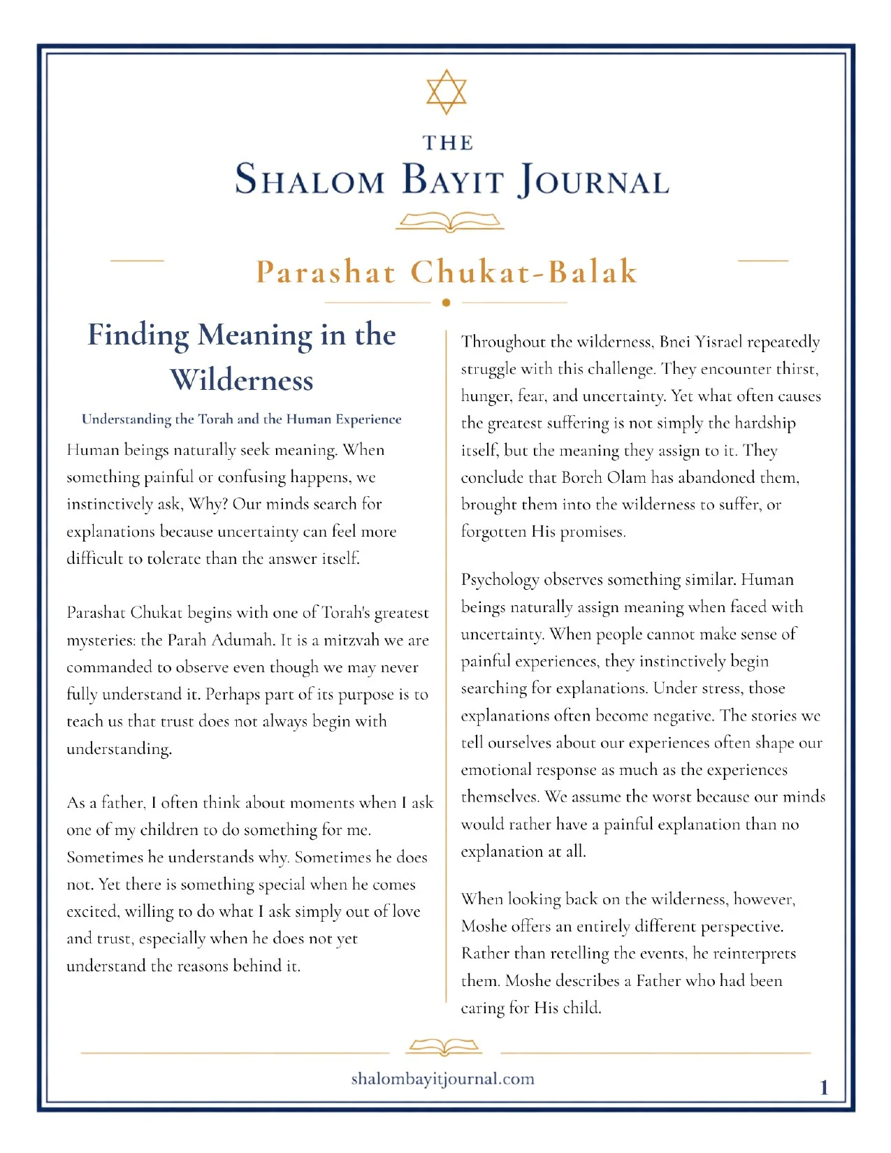 Finding Meaning in the Wilderness, page 1